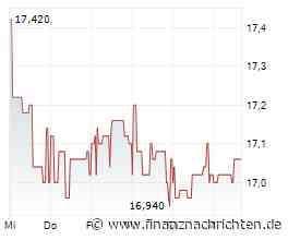 Steico findet im dritten Quartal zurück in die Spur