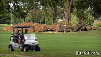 Judge orders Trump administration to halt work at DC golf course until later this month