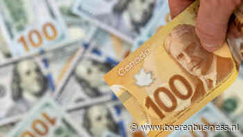Waarom hoge olieprijs Canadese dollar koud laat