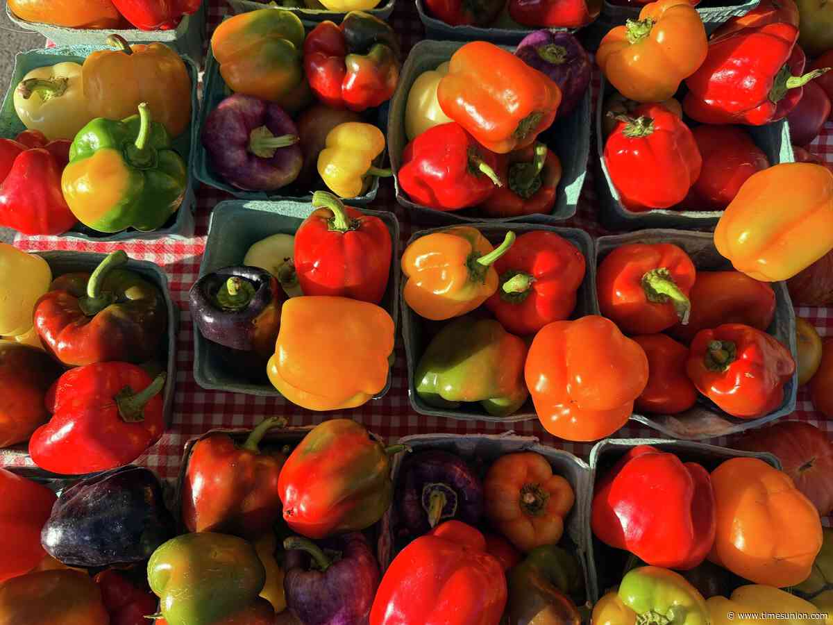 Winter farmers market opens at Clifton Park Center next month