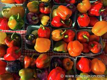 Winter farmers market opens at Clifton Park Center next month