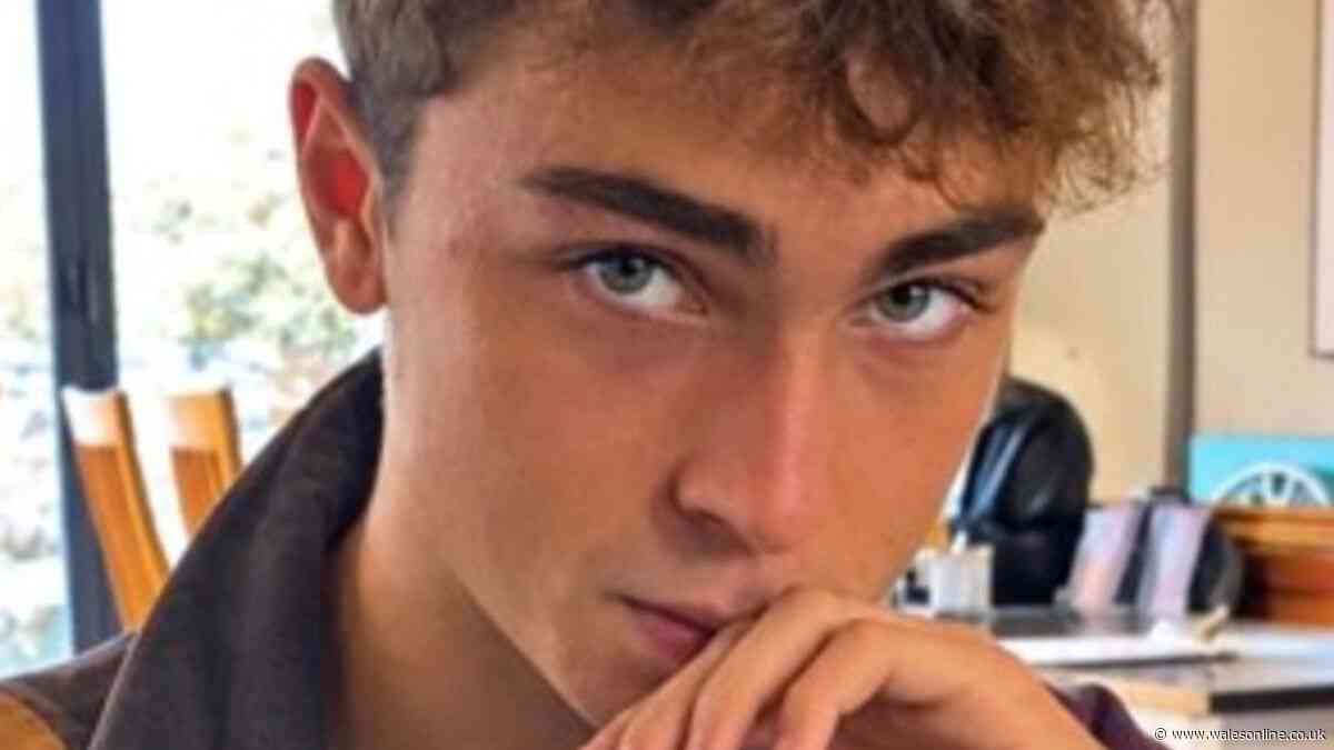 Tribute to teen, 17, 'full of life' after tragic death as man is sentenced