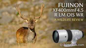 Is the Fujifilm XF 400mm f/4.5 Worth $3,199?