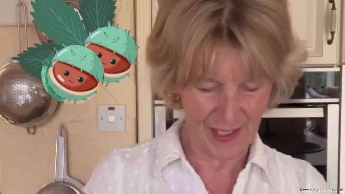 Great British Bake Off winner reveals surprise use for conkers