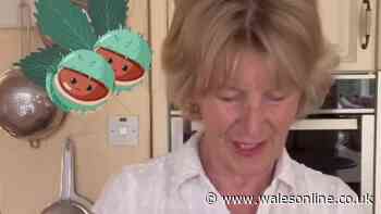 Great British Bake Off winner reveals surprise use for conkers