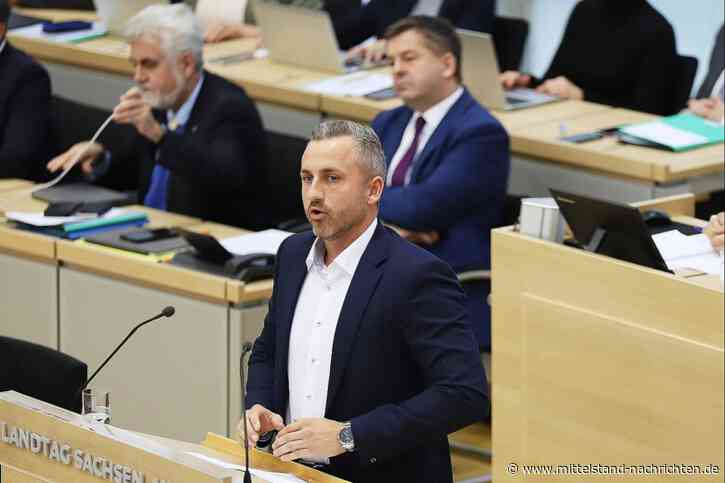 Landtag Sachsen-Anhalt stimmt für AfD-BSW-Antrag zu Ukraine-Krieg