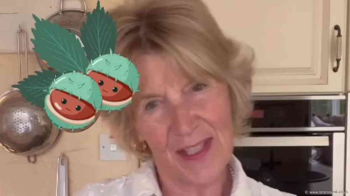 Great British Bake Off winner reveals surprise use for conkers