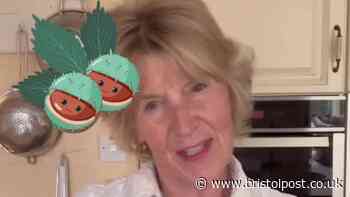 Great British Bake Off winner reveals surprise use for conkers