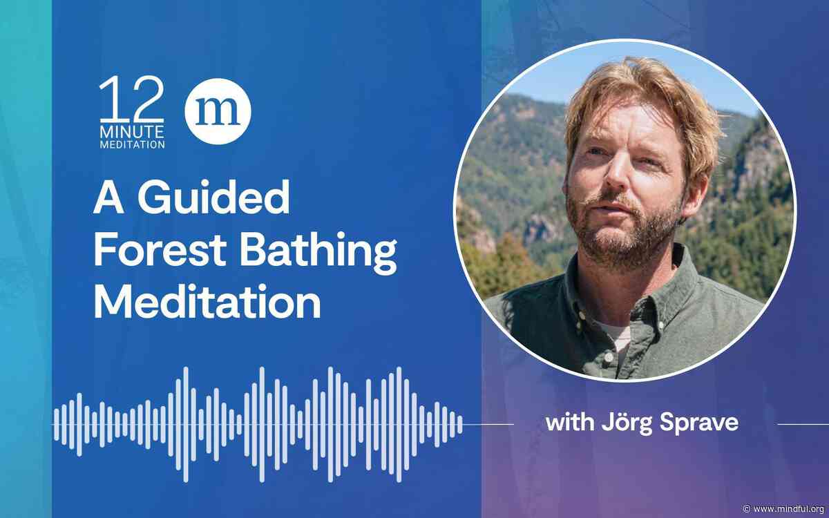 Jörg Sprave: A Guided Forest Bathing Meditation