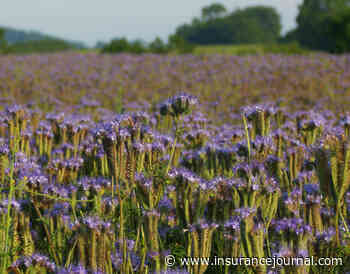 Illinois Launches Cover Crop Insurance Savings Program for 2027