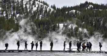 Search for dog still missing in Yellowstone pressured as winter approaches