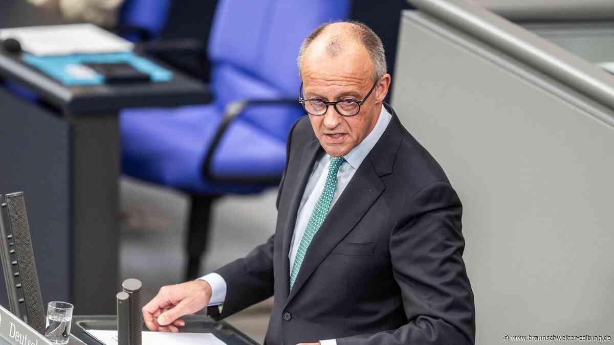Attacke im Bundestag: Merz wirft AfD „Freude an Zersetzung und Zerstörung“ vor