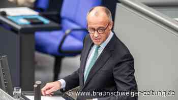 Attacke im Bundestag: Merz wirft AfD „Freude an Zersetzung und Zerstörung“ vor