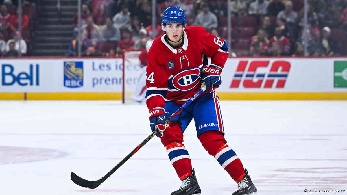 Canadiens Recall David Reinbacher