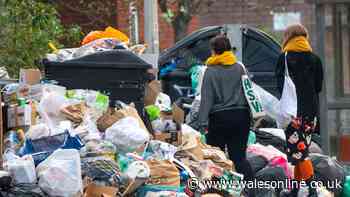 'I'm a bin man and this is why we won't empty your bin if the lid is left open'