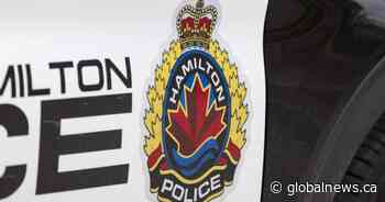 Six puppies ‘in distress’ rescued by police in Hamilton
