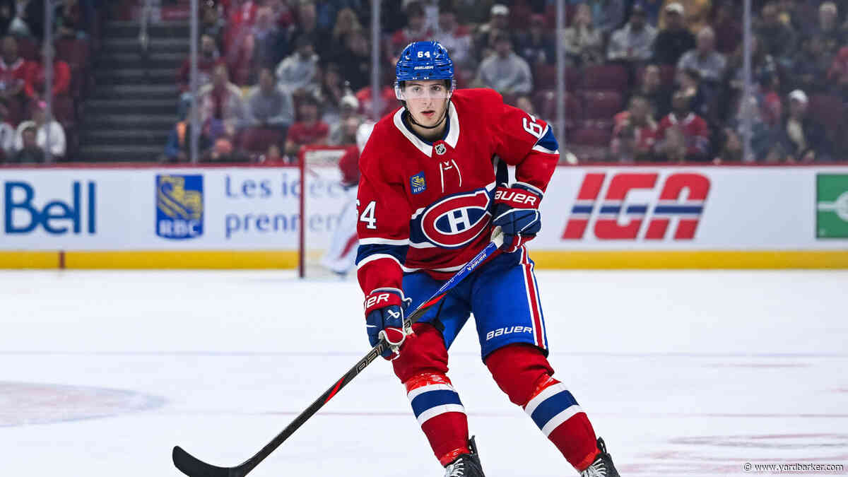 Montreal Canadiens Recall David Reinbacher