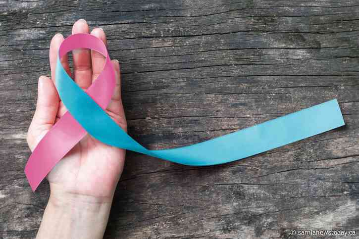 Sarnia to light up purple for Pregnancy and Infant Loss Awareness Day on Oct. 15