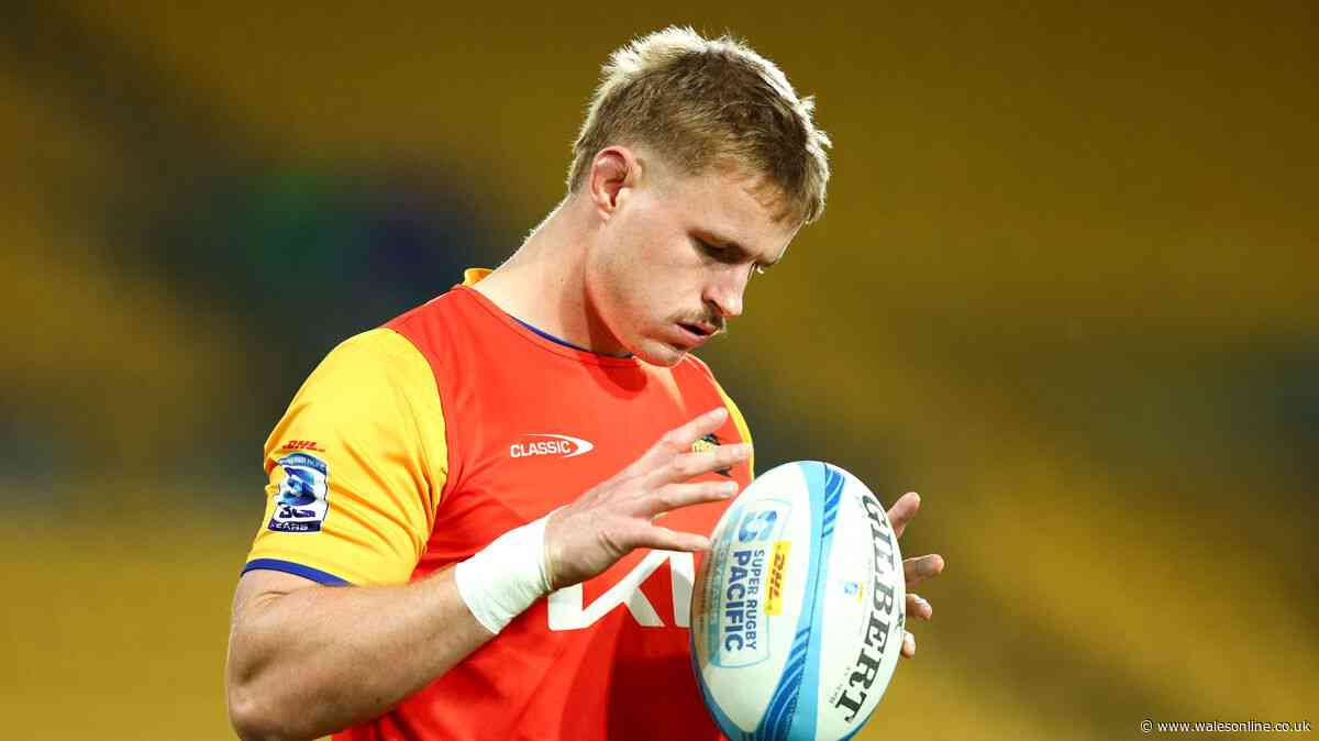 New Zealand giant arrives in Welsh rugby and accused Springbok frozen out
