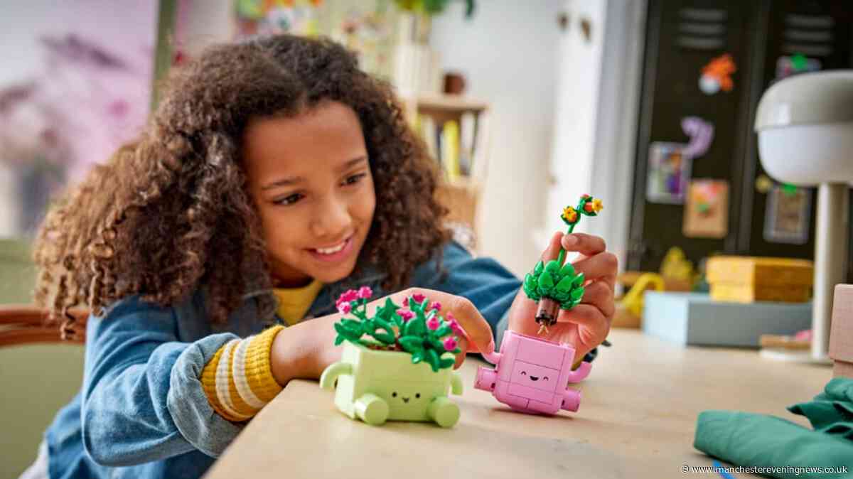 Argos shoppers snap up LEGO set that looks similar to popular Jellycat doll