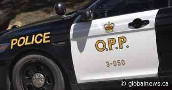 Children, 11 and 9, steal parents’ car for early morning joyride: OPP