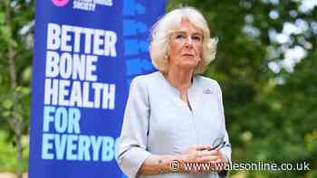 Queen Camilla's secret three-word nickname reveals what staff really think