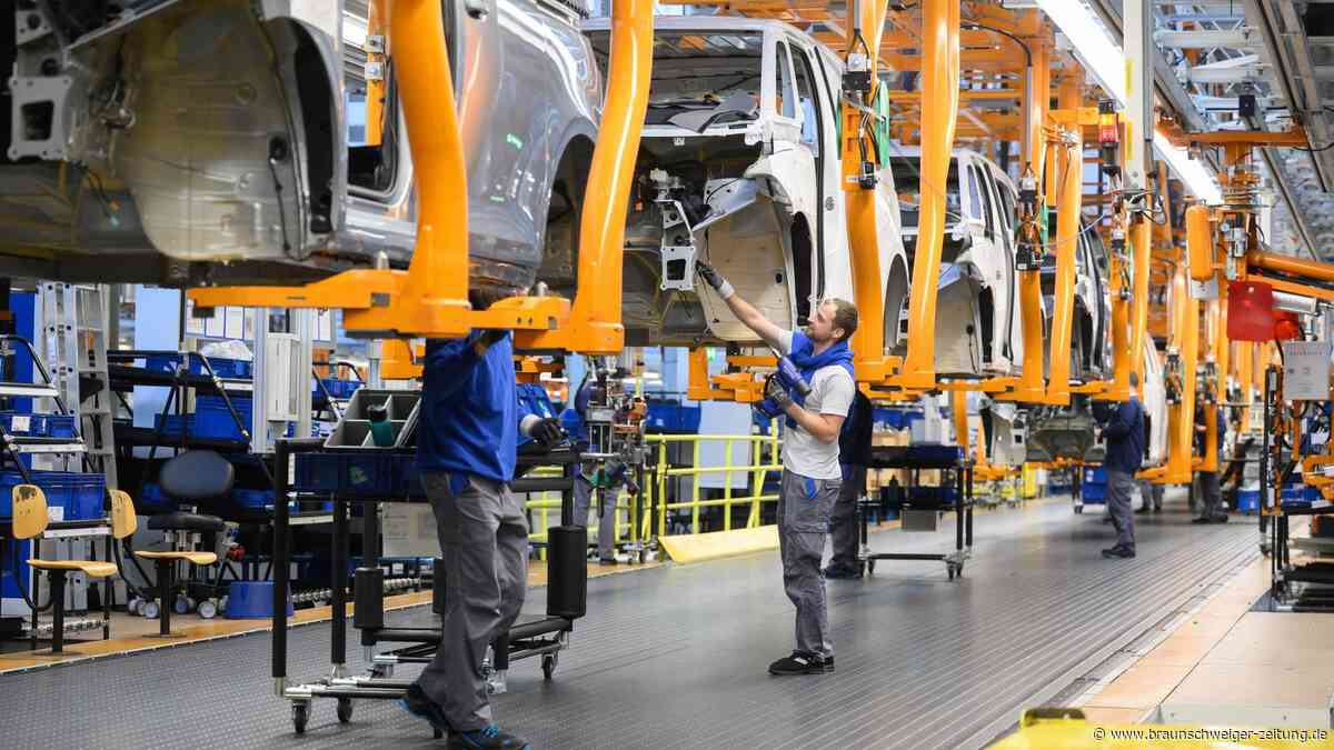 Seltene VW-Einigkeit: Zu einem EU-Gesetz haben Blume und Cavallo eine ähnliche Meinung