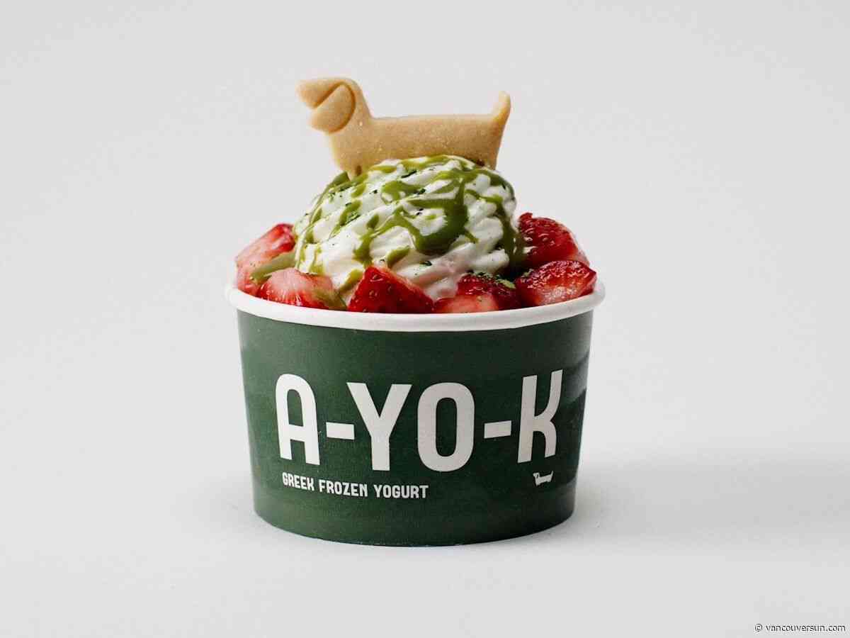 Aritzia just launched … frozen yogurt? 
