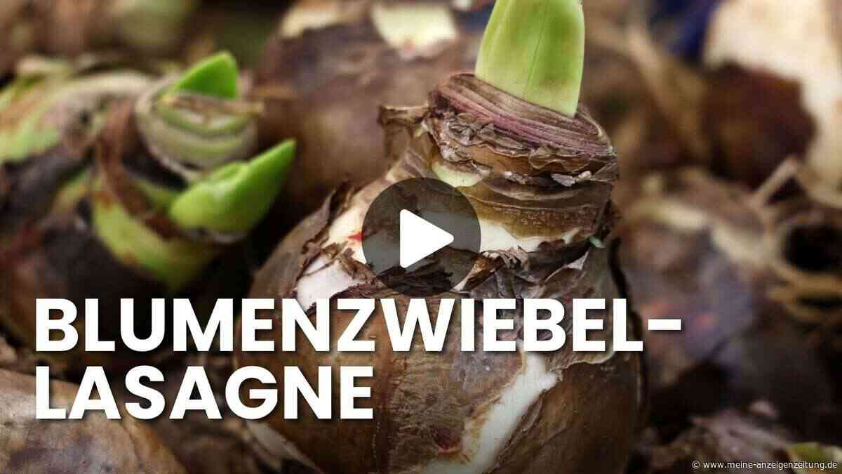 Mit der Lasagne-Bepflanzung blüht Ihr Balkon drei Monate ohne Unterbrechung