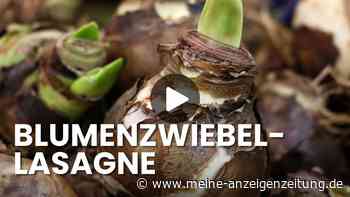Mit der Lasagne-Bepflanzung blüht Ihr Balkon drei Monate ohne Unterbrechung