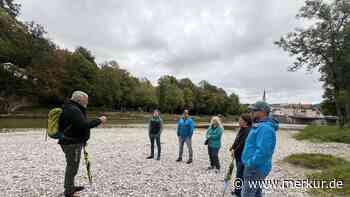„Schatz, wie es in Europa kaum einen zweiten gibt“: Experte macht bei Führung den Wert der Isar klar