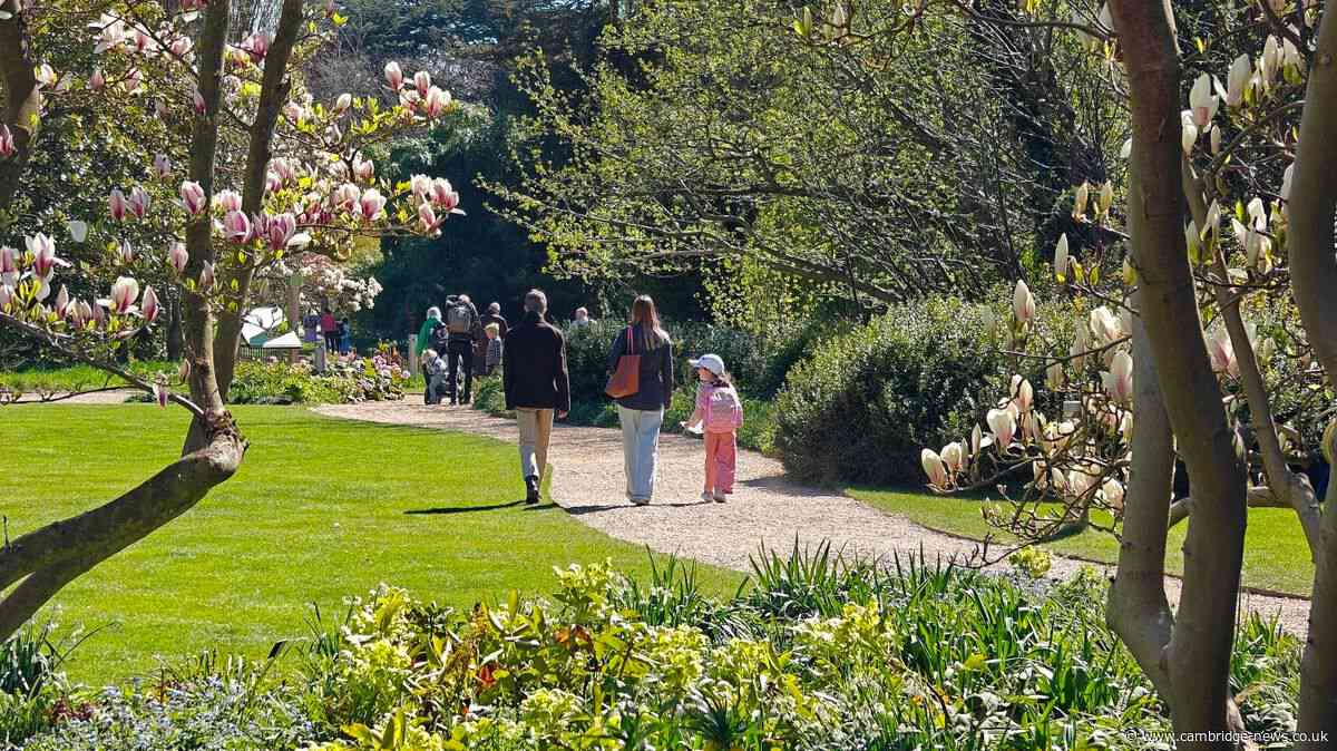 Staff 'devastated' as effects of summer drought forces cancellation of annual event
