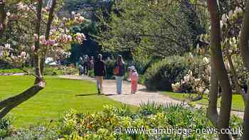 Staff 'devastated' as effects of summer drought forces cancellation of annual event