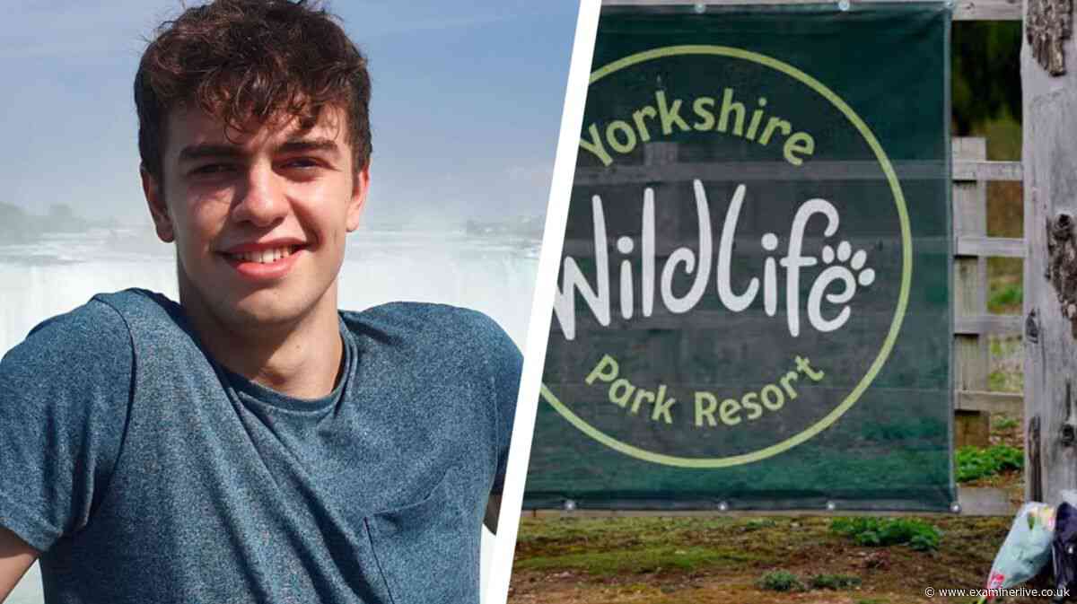 William Chapman's family approach mayor over viral footage of tiger attack