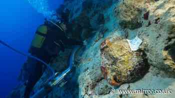 World's oldest shipwreck - thought to be 4,700 years old - found off coast of Turkey