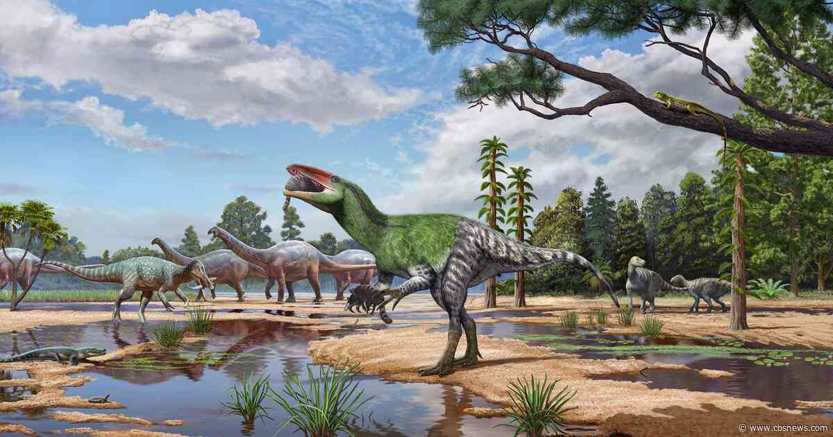 Fossil overlooked for 100 years ID'd as new dinosaur species