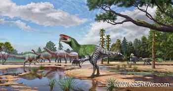 Fossil overlooked for 100 years ID'd as new dinosaur species