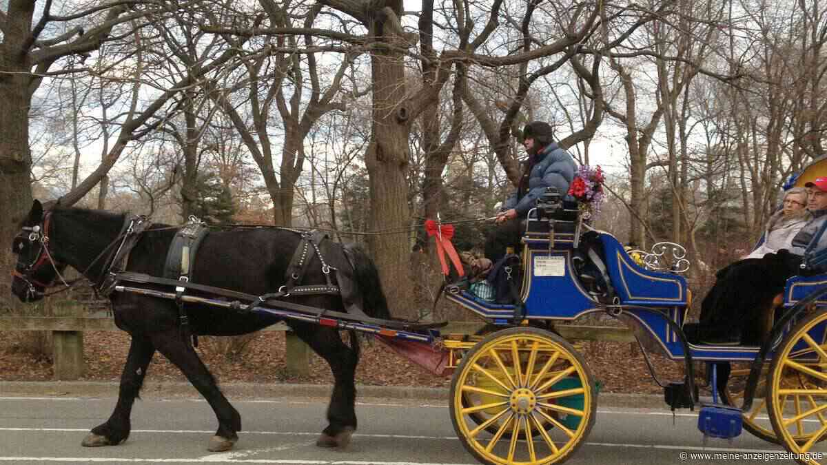 Pferdekutschen in New York bald Geschichte: Stadtrat beschließt Ende der Tradition