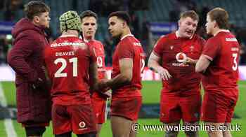 Steve Tandy hit with second Wales injury blow as Cardiff issue Taulupe Faletau update