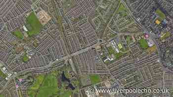 Police arrest teenage girls after noticing 'strong smell of cannabis' in Tuebrook