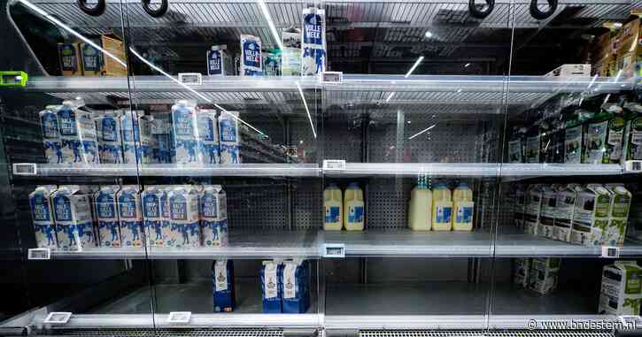 Liveblog cybercrisis bij AH | Albert Heijn gaat levering versproducten aan supermarkten woensdagavond hervatten