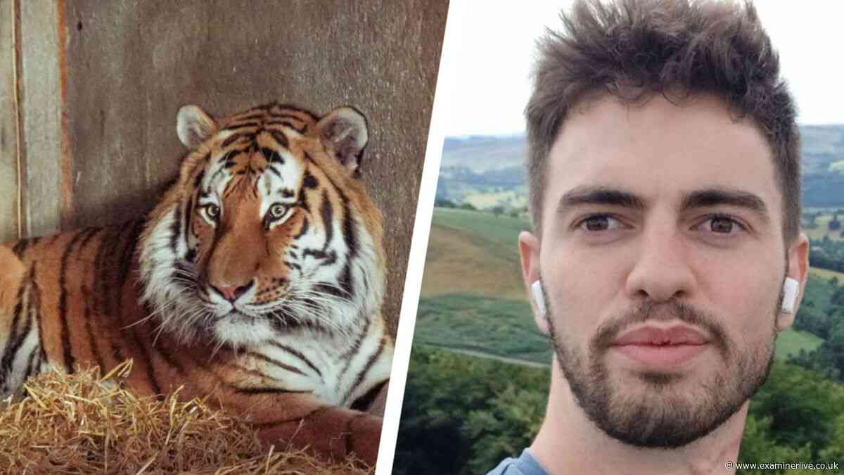 Wildlife expert’s verdict on zoo safety after tiger killed William Chapman