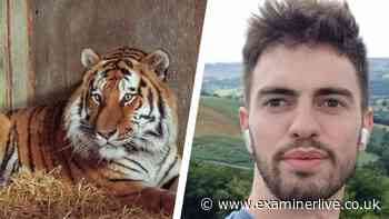 Wildlife expert’s verdict on zoo safety after tiger killed William Chapman