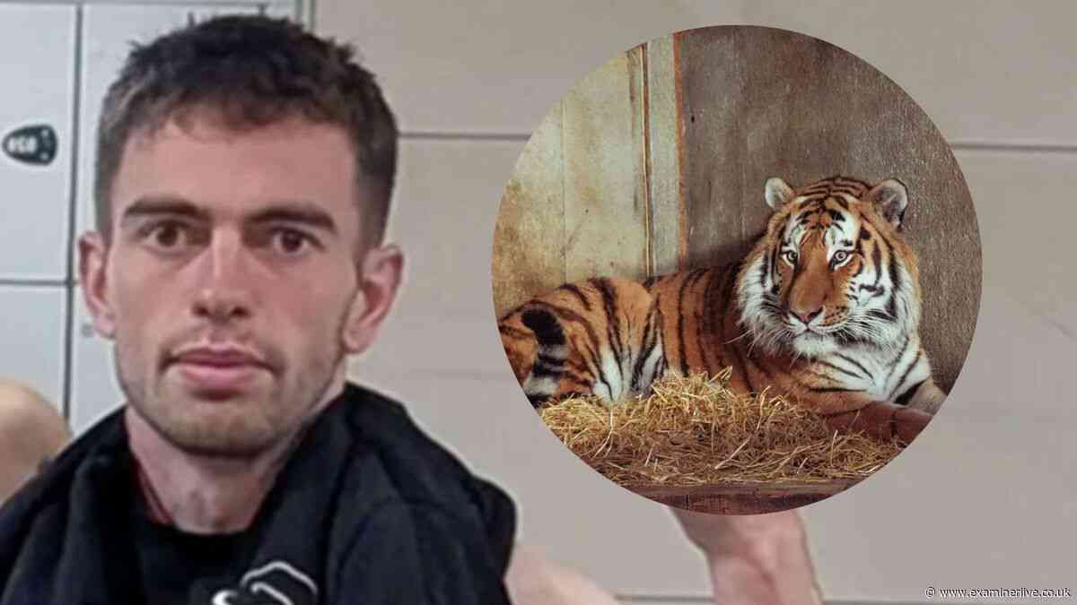 William Chapman: Everything we know about tiger victim including acting past