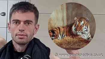 William Chapman: Everything we know about tiger victim including acting past