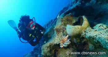 ​World's oldest shipwreck found off Turkey's coast, archaeologists say