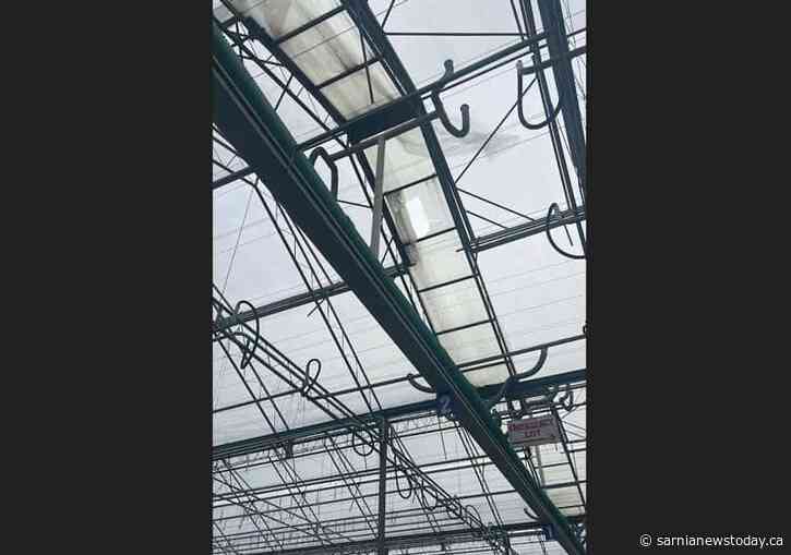 Worker seriously injured in fall at Sombra greenhouse