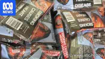 The latest tactic in Australia's illegal tobacco trade is hiding in plain sight