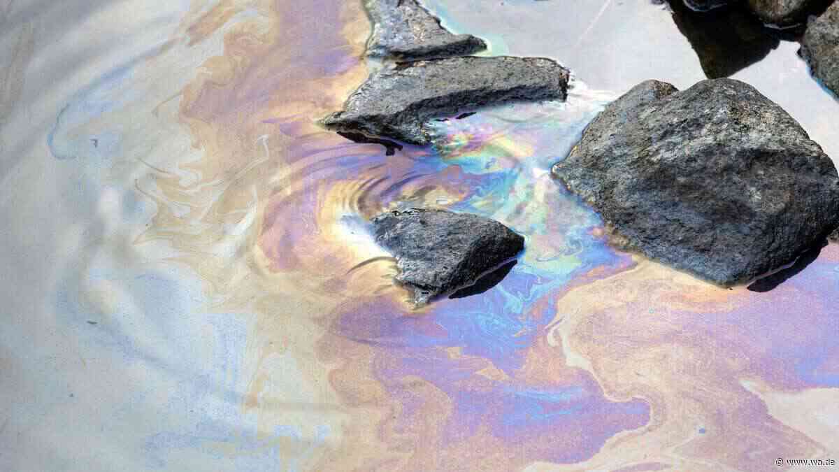 Chinesische Forscher entdecken Meeresbakterium, das CO₂ bindet und Schadstoffe frisst