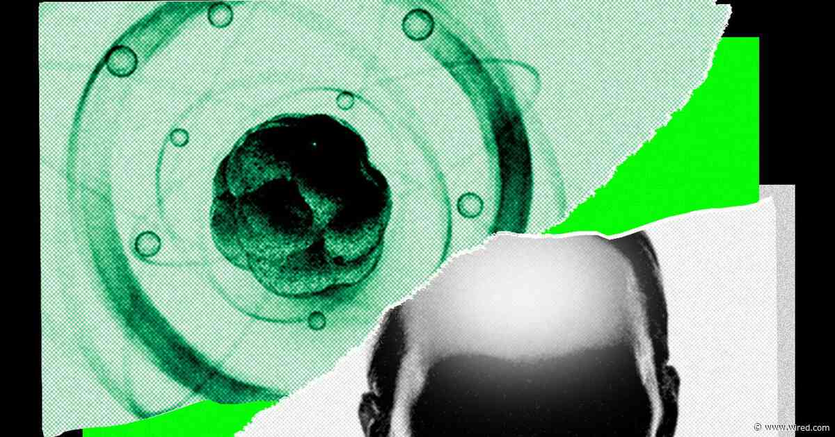AI Came for Math. Now It’s Chasing the Rest of Science